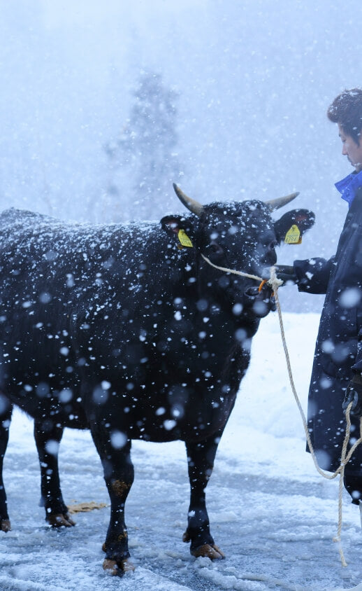 雪降り和牛 尾花沢の魅力